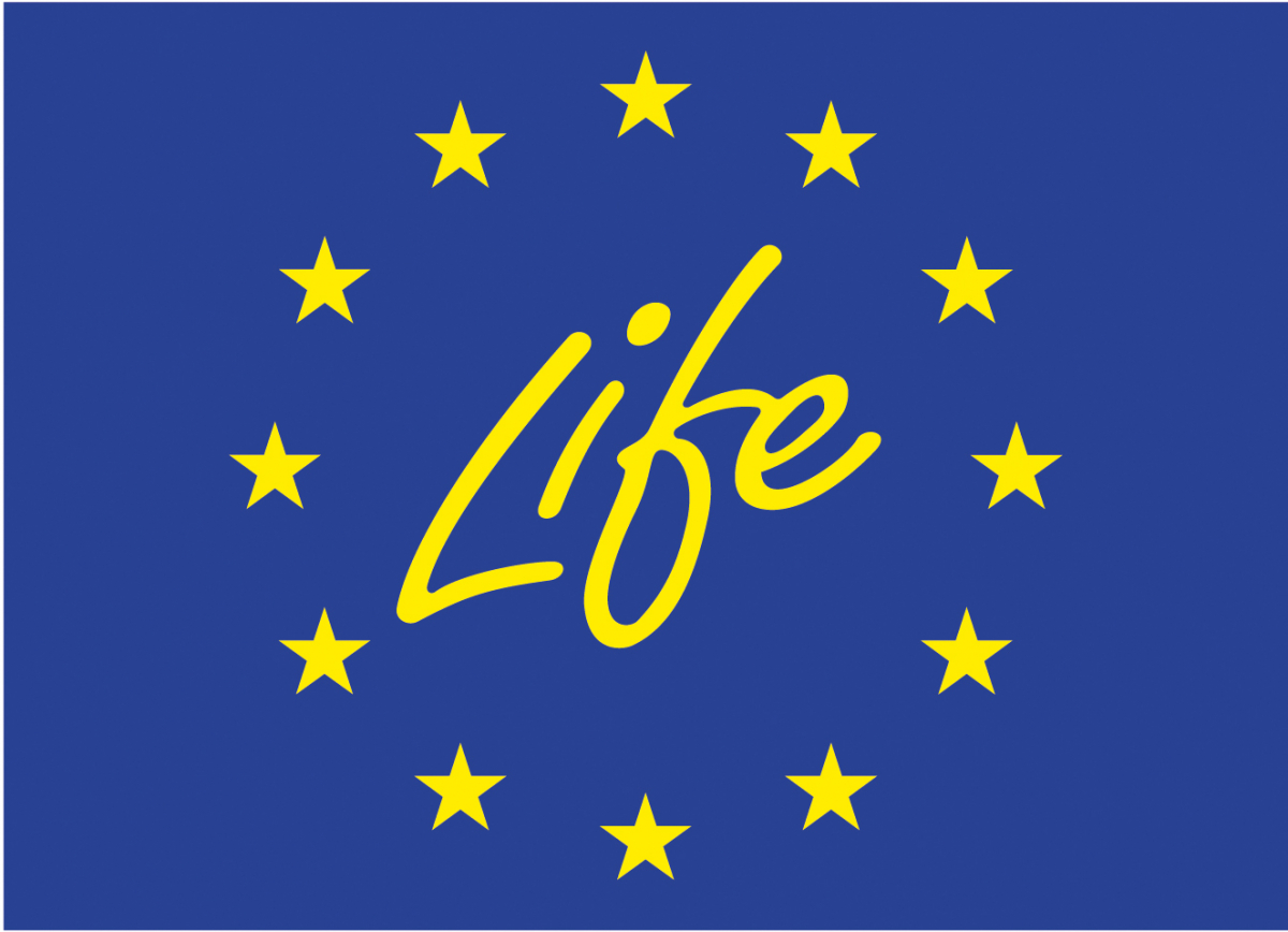 Life logo