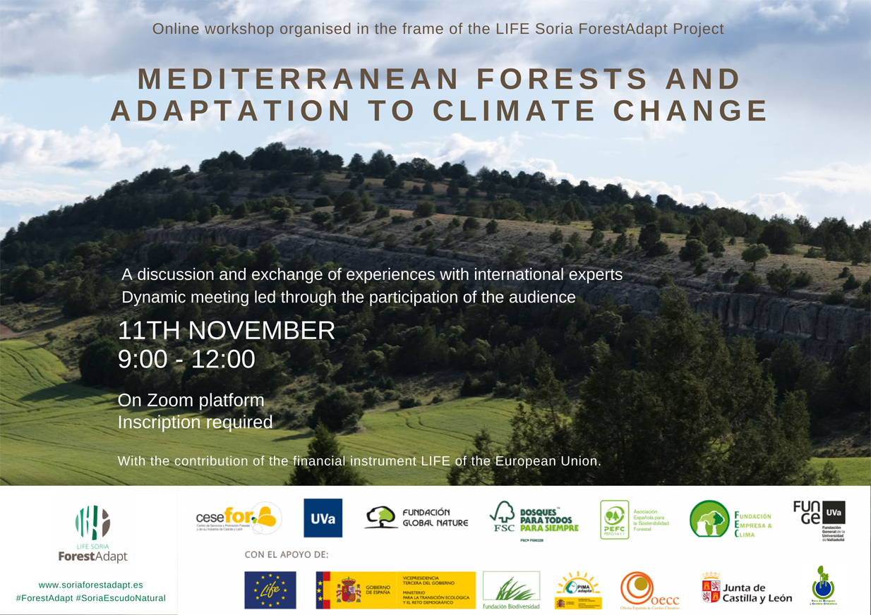 Online workshop: 'Mediterranean forests and adaptation to climate change'.