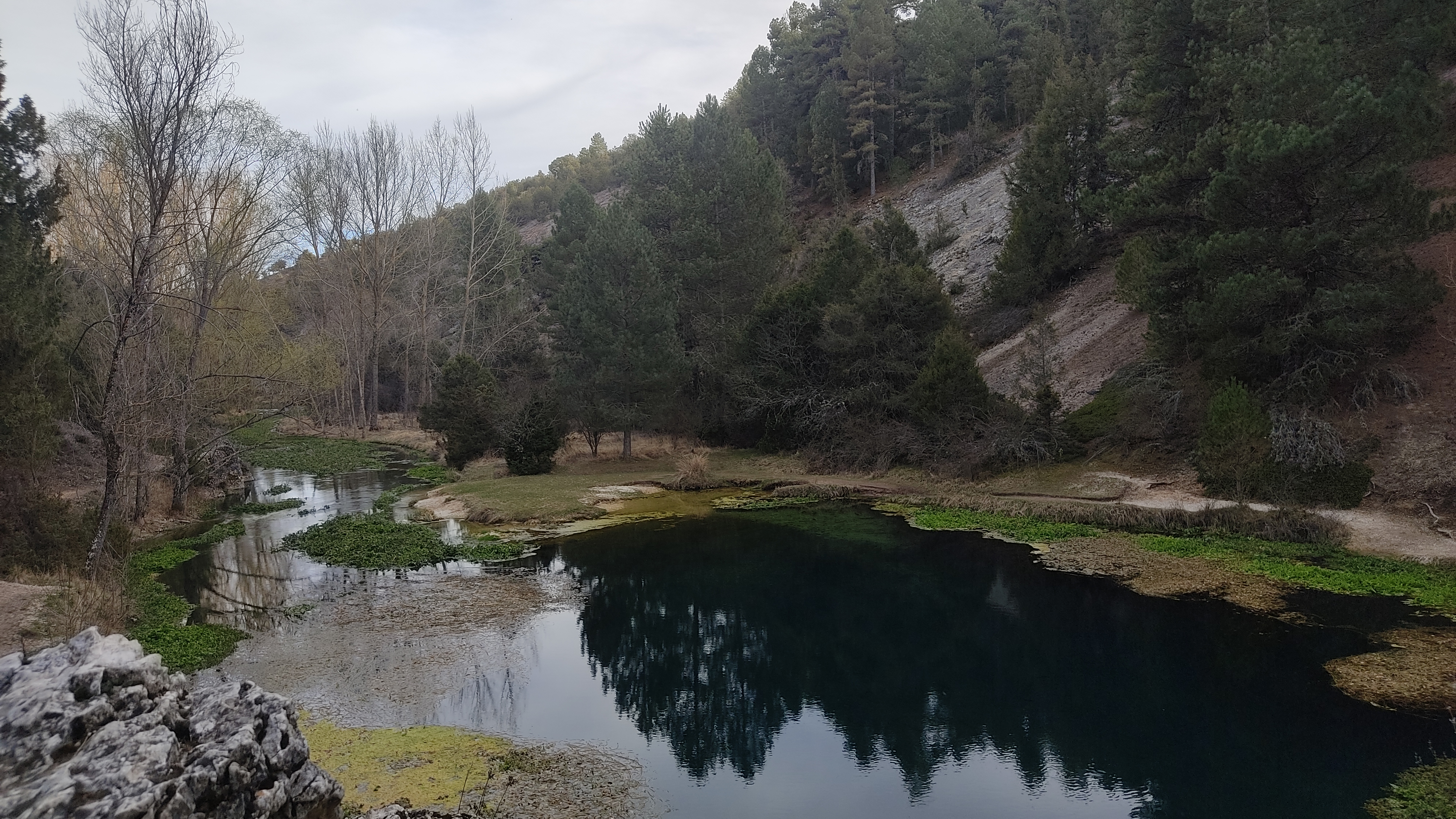 Global Nature incluye los escudos naturales en el webinar “El agua como recurso esencial para la vida”