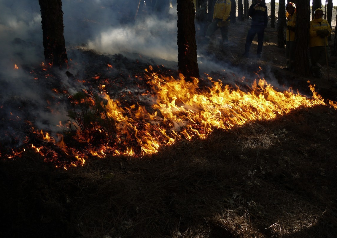 Incluso con los incendios, el objetivo es ayudar al planeta a reencontrar el equilibro que le hemos obligado a perder