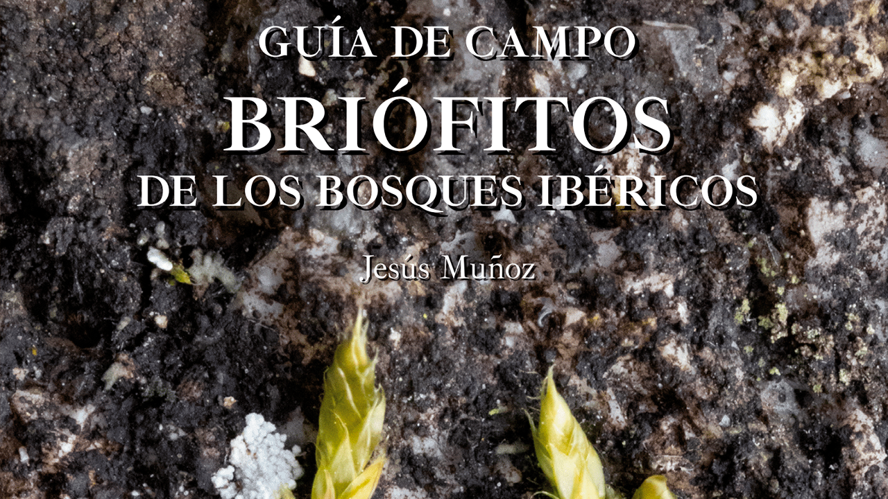 Portada de la Guía publicada por el CSIC sobre briofitos en bosques ibéricoss