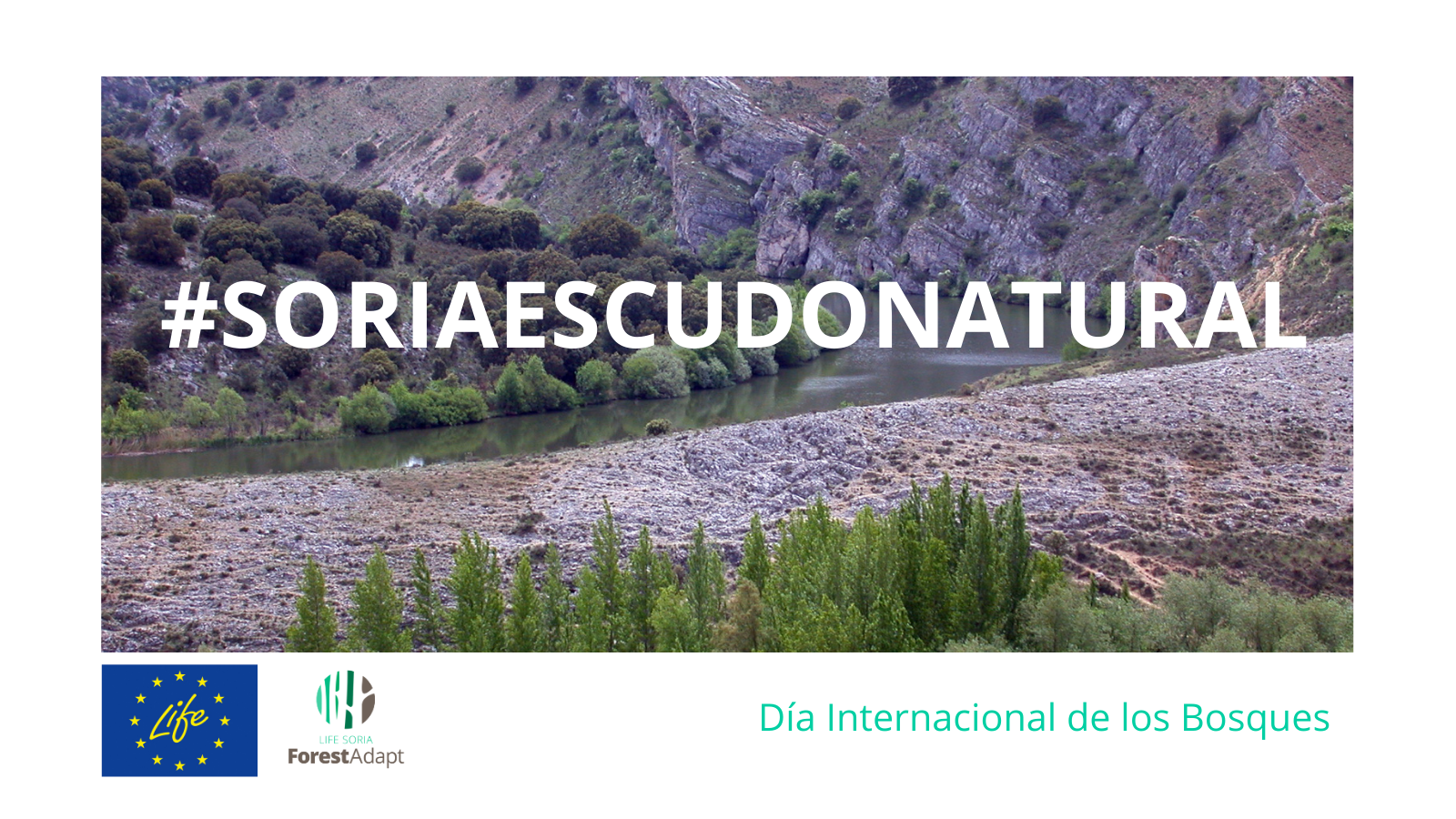 SoriaEscudoNatural