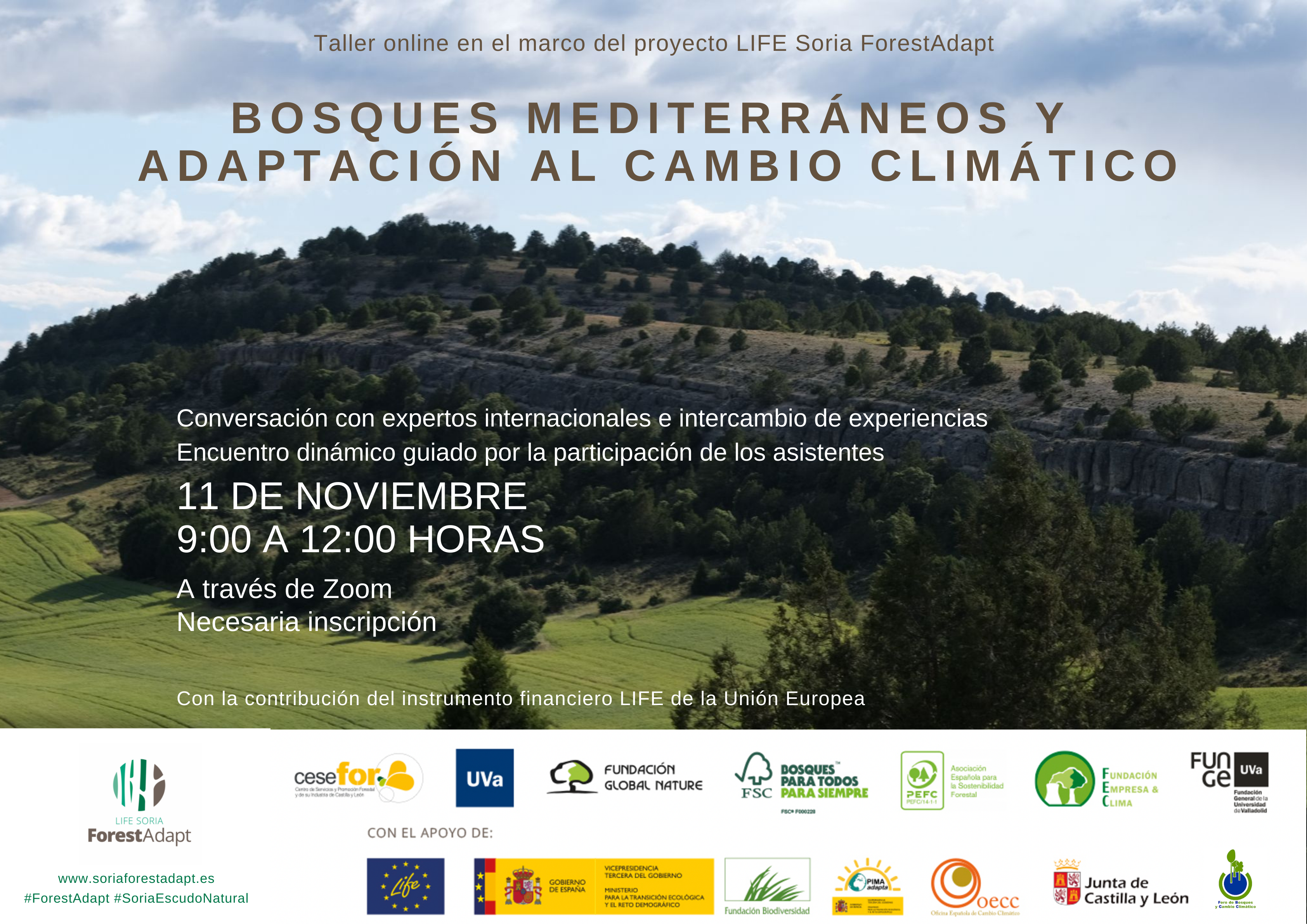 Taller online: 'Bosques mediterráneos y adaptación al cambio climático'