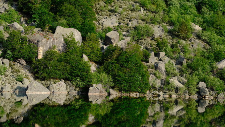 La Junta de Castilla y León incluirá los resultados del LIFE Soria ForestAdapt en su Plan Estratégico para la adaptación de los bosques al cambio climático