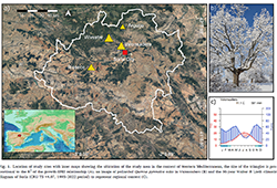 Paper en Science of the Total Environment