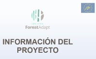 Información del proyecto