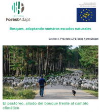 BOLETÍN 4. PROYECTO LIFE SORIA FORESTADAPT