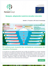 BOLETÍN 3. Proyecto Life Soria ForestAdapt