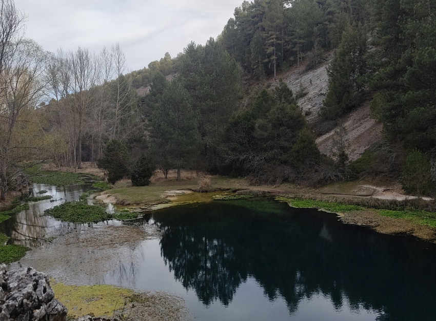 Global Nature incluye los escudos naturales en el webinar “El agua como recurso esencial para la vida”