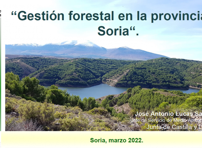 El ForestAdapt, presente en el ‘Café Forestal’ del Colegio Oficial de Ingenieros Técnicos Forestales 