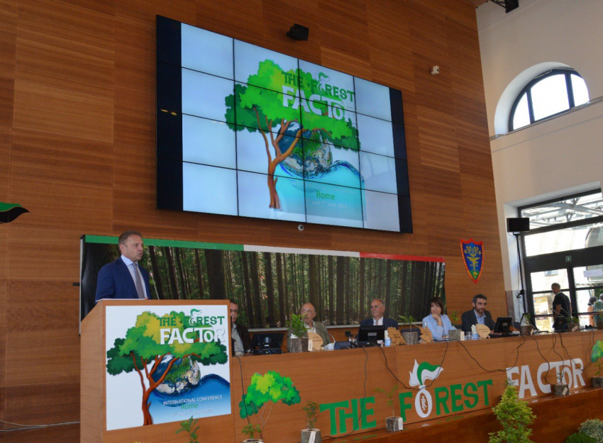 Congreso Internacional en Roma The Forest Factor