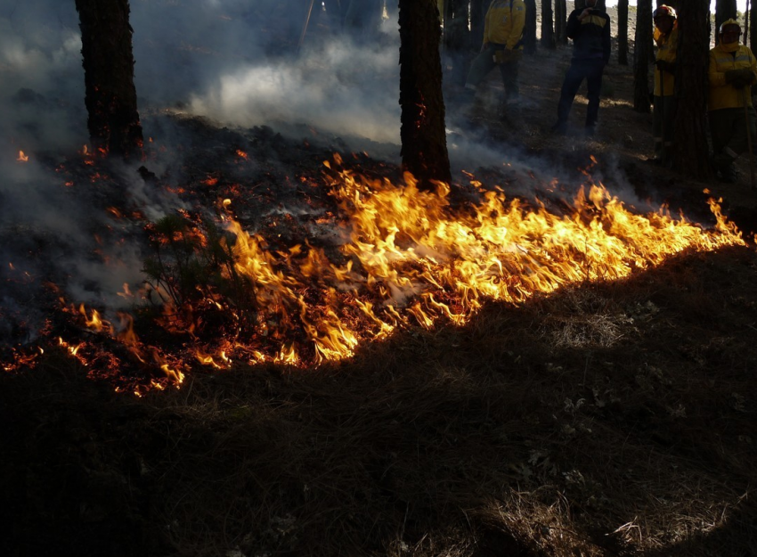 Incluso con los incendios, el objetivo es ayudar al planeta a reencontrar el equilibro que le hemos obligado a perder