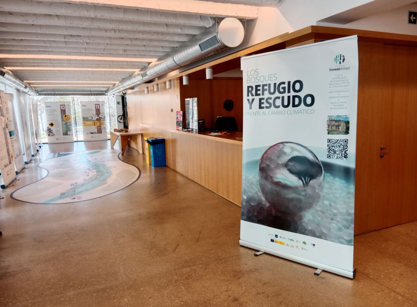 Exposición Los bosques, refugio y escudo frente al cambio climático en el espacio Alameda