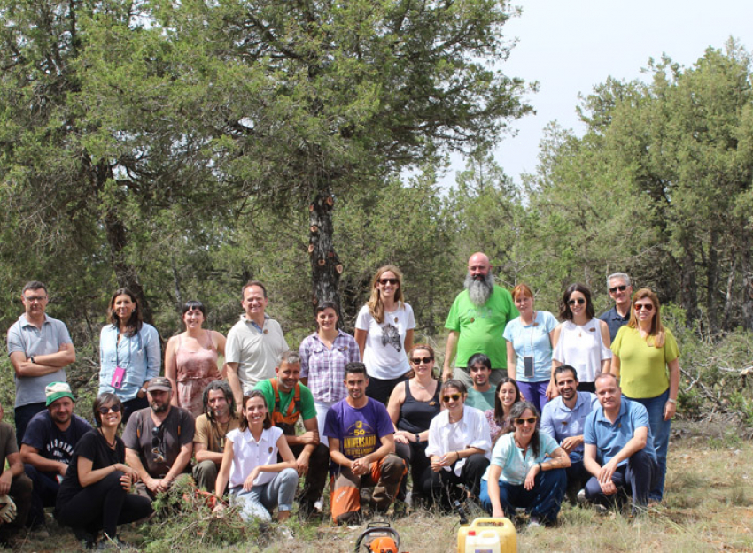 Empresas que protegen nuestros bosques: en qué invertir más allá de las plantaciones Cesefor