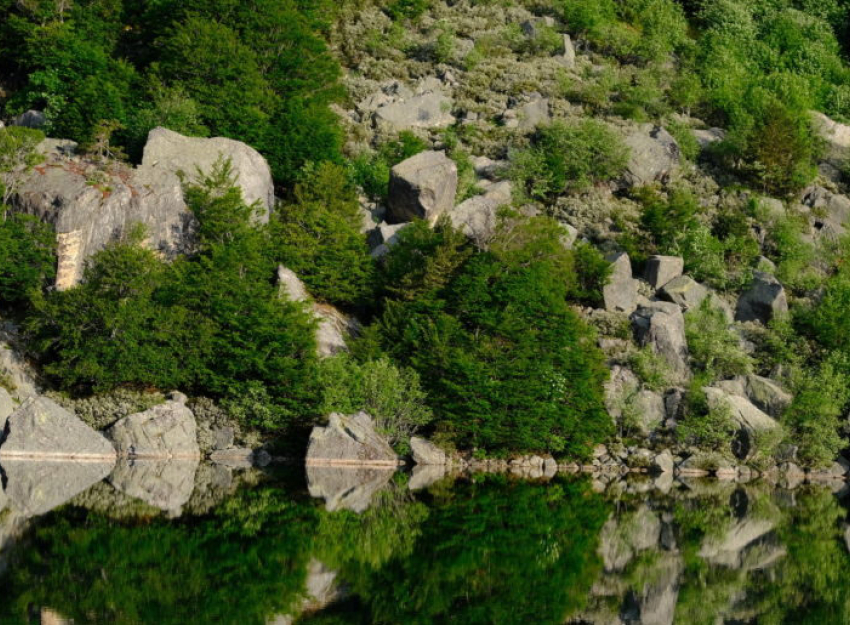 La Junta de Castilla y León incluirá los resultados del LIFE Soria ForestAdapt en su Plan Estratégico para la adaptación de los bosques al cambio climático