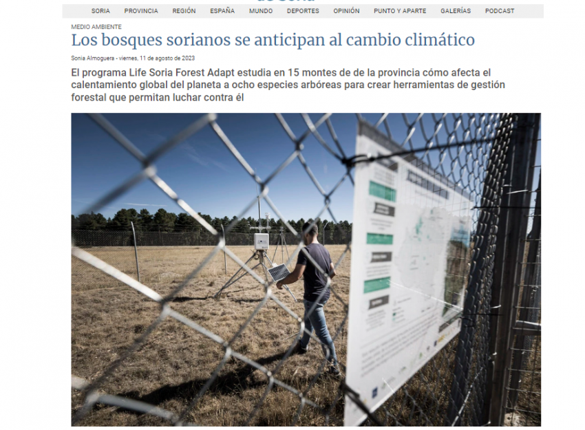 Los bosques sorianos se anticipan al cambio climático